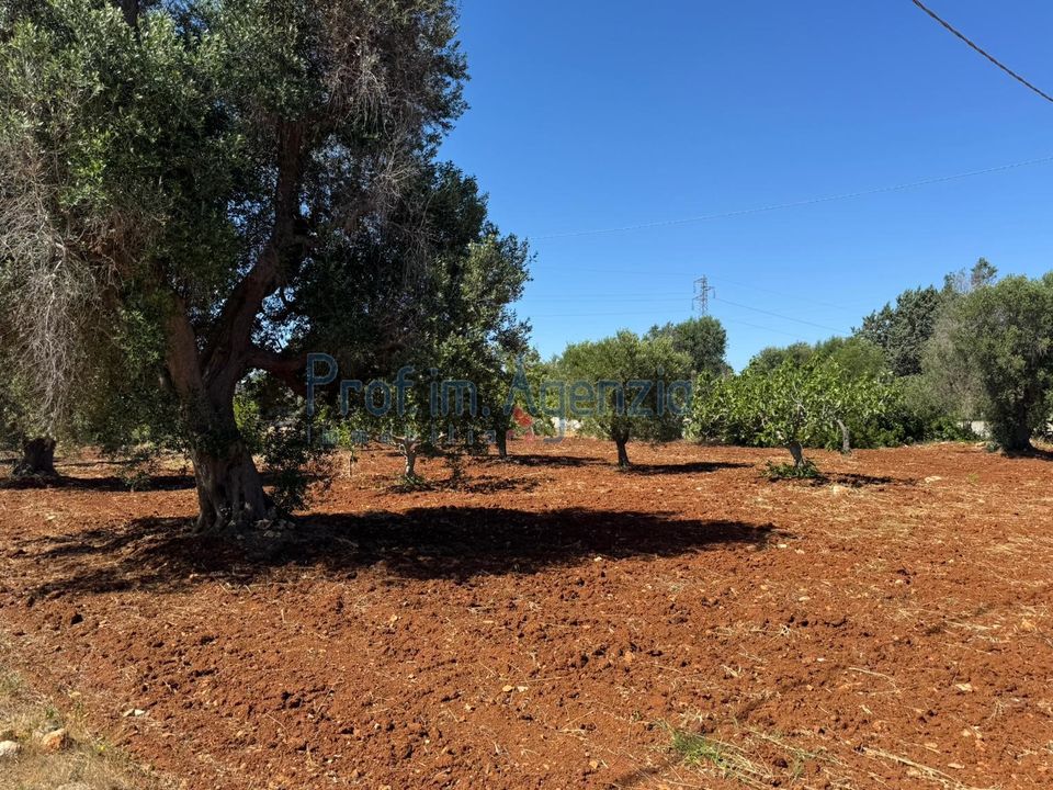 Helårsgrund i Carovigno, Brindisi - foto 2